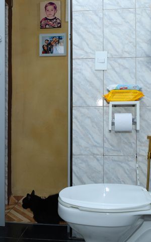 Casa à venda com 185m², 2 quartos e 2 vagasBanheiro
