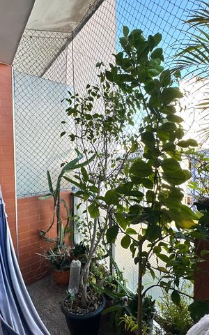 Apartamento para alugar com 135m², 3 quartos e 1 vaga