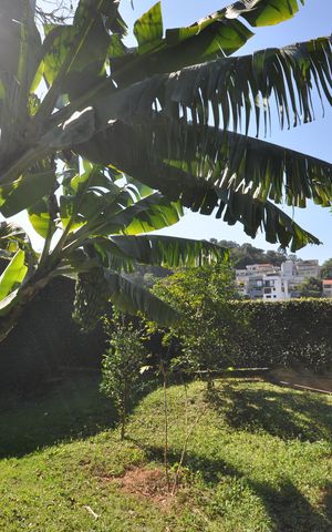 Casa à venda com 590m², 4 quartos e 3 vagasPiscina