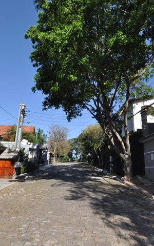 Casa à venda com 590m², 4 quartos e 3 vagasAspecto geral da rua