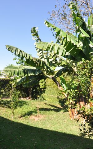 Casa à venda com 590m², 4 quartos e 3 vagasPomar