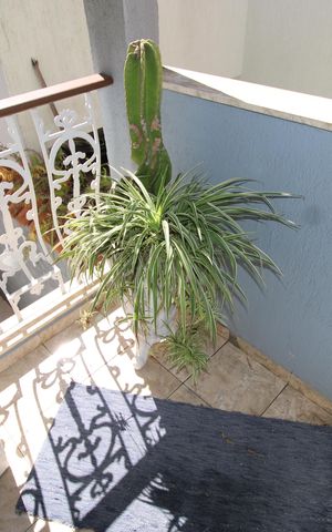 Casa para alugar com 200m², 3 quartos e 2 vagasVaranda