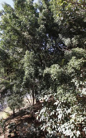 Apartamento para alugar com 84m², 3 quartos e 1 vagaVista da área de serviço