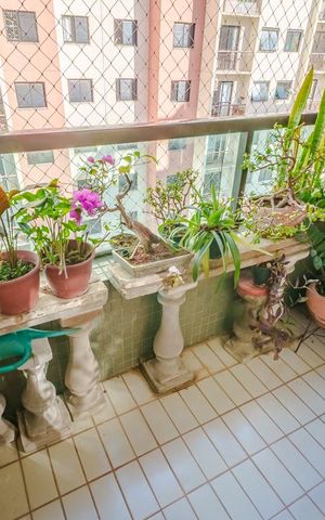 Apartamento à venda com 84m², 3 quartos e 2 vagasVaranda