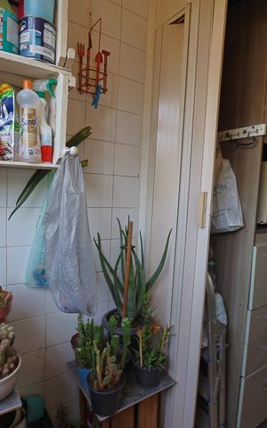 Apartamento à venda com 56m², 2 quartos e 1 vagaÁrea de Serviço