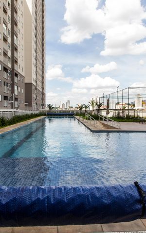 Apartamento para alugar com 60m², 1 quarto e 1 vagaPiscina