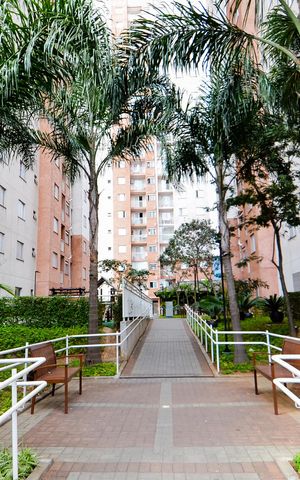 Apartamento para alugar com 50m², 2 quartos e 1 vagaÁrea comum