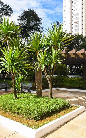Apartamento para alugar com 95m², 2 quartos e 2 vagas Apartamento para alugar com 95m², 2 quartos e 2 vagasJardim
