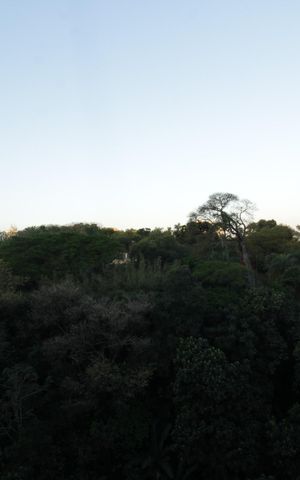 Apartamento para alugar com 50m², 2 quartos e sem vaga Apartamento para alugar com 50m², 2 quartos e sem vagaVaranda