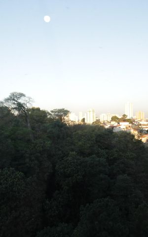 Apartamento para alugar com 50m², 2 quartos e sem vaga Apartamento para alugar com 50m², 2 quartos e sem vagaVista quarto 2