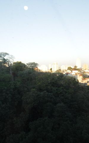 Apartamento para alugar com 50m², 2 quartos e sem vaga Apartamento para alugar com 50m², 2 quartos e sem vagaVista quarto 1