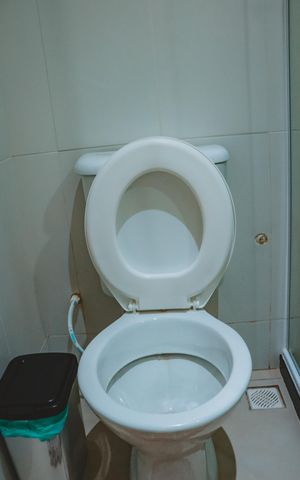 Casa de condomínio para alugar com 67m², 2 quartos e 1 vaga Casa de condomínio para alugar com 67m², 2 quartos e 1 vagaBanheiro social