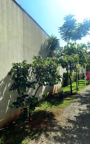 Apartamento para alugar com 38m², 1 quarto e 1 vaga