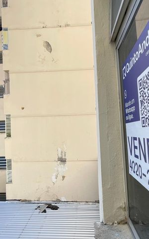 Apartamento à venda com 103m², 3 quartos e sem vaga Apartamento à venda com 103m², 3 quartos e sem vagaPlaquinha