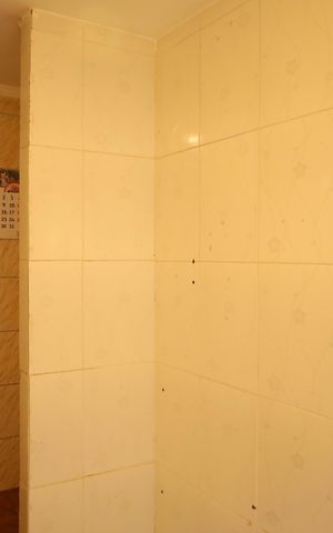 Apartamento para alugar com 43m², 2 quartos e sem vagaCozinha
