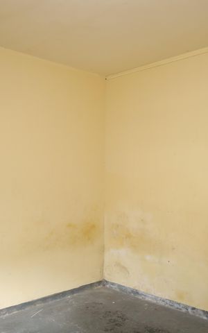Casa para alugar com 60m², 2 quartos e 1 vagaQuarto 1