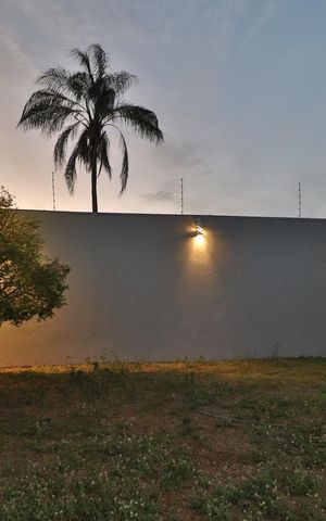Casa para alugar com 311m², 3 quartos e 2 vagasQuintal