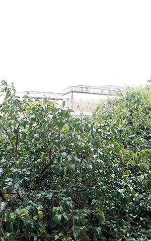 Apartamento para alugar com 80m², 3 quartos e sem vagaSala Vista
