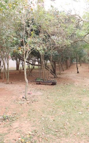 Apartamento à venda com 50m², 2 quartos e 1 vagaÁrea comum - Bosque