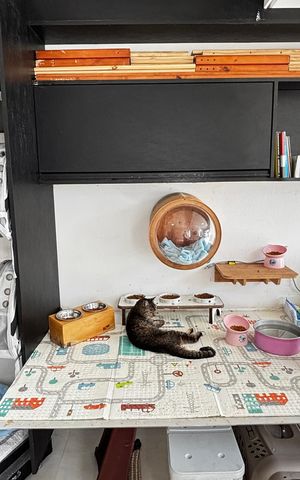 Apartamento para alugar com 100m², 1 quarto e 1 vaga Apartamento para alugar com 100m², 1 quarto e 1 vagaCobertura - Cozinha