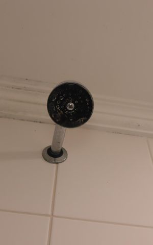 Apartamento à venda com 77m², 3 quartos e 2 vagasBanheiro Social - Chuveiro