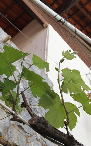 Casa à venda com 400m², 5 quartos e 6 vagasÁrea externa
