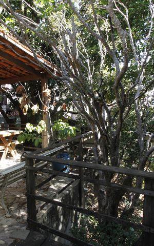 Casa à venda com 400m², 5 quartos e 6 vagasQuintal