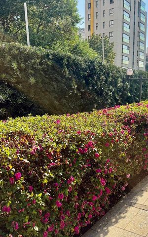 Apartamento à venda com 80m², 3 quartos e sem vaga