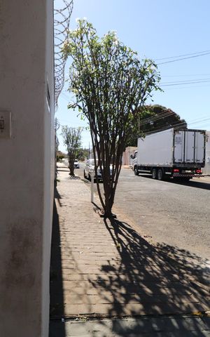 Casa para alugar com 74m², 3 quartos e 1 vagaPlaquinha