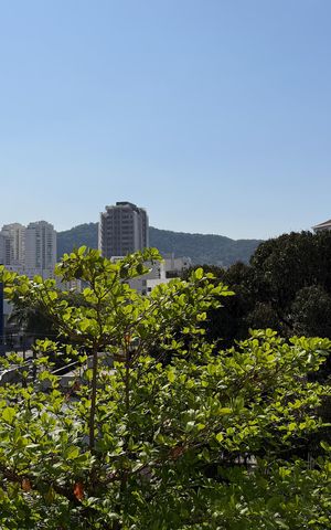 Apartamento para alugar com 50m², 1 quarto e sem vagaVista
