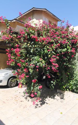 Casa à venda com 184m², 3 quartos e 3 vagasGaragem
