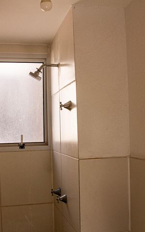 Apartamento para alugar com 50m², 2 quartos e 1 vaga Apartamento para alugar com 50m², 2 quartos e 1 vagaBanheiro social