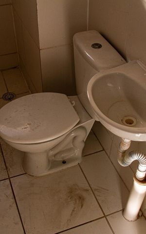 Apartamento para alugar com 50m², 2 quartos e 1 vaga Apartamento para alugar com 50m², 2 quartos e 1 vagaBanheiro social