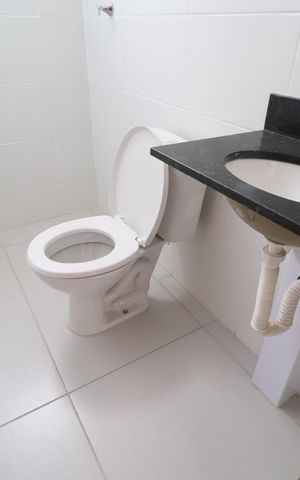 Apartamento para alugar com 52m², 2 quartos e 1 vagaBanheiro Social
