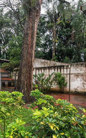 Casa para alugar com 400m², 3 quartos e 10 vagas Casa para alugar com 400m², 3 quartos e 10 vagasJardim
