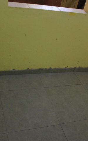 Casa para alugar com 31m², 2 quartos e 1 vagaSala 