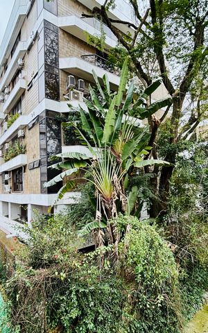 Apartamento à venda com 108m², 3 quartos e 1 vaga