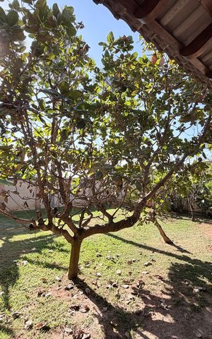 Casa de condomínio à venda com 360m², 3 quartos e 4 vagasQuintal com área gourmet
