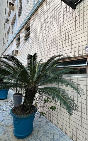 Apartamento para alugar com 40m², 1 quarto e 1 vagaÁrea comum