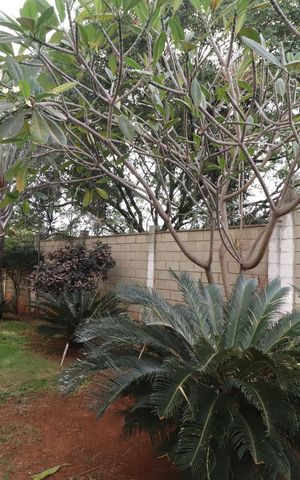 Apartamento para alugar com 49m², 2 quartos e 1 vagaÁrea comum
