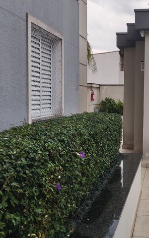 Apartamento para alugar com 50m², 2 quartos e 1 vaga Apartamento para alugar com 50m², 2 quartos e 1 vagaÁrea comum