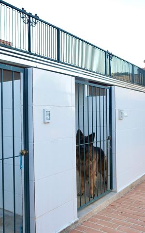Casa de condomínio à venda com 700m², 6 quartos e 15 vagas Casa de condomínio à venda com 700m², 6 quartos e 15 vagasCanil