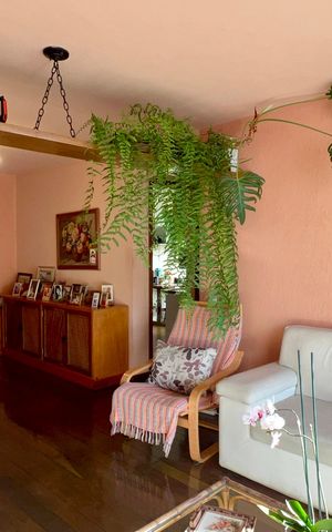 Apartamento à venda com 140m², 3 quartos e 3 vagasSala