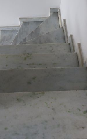 Casa para alugar com 45m², 2 quartos e 1 vagaEscada