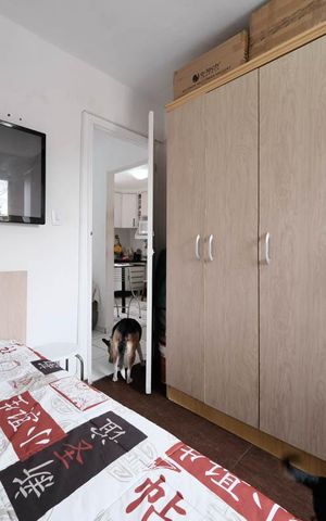 Apartamento para alugar com 47m², 2 quartos e 1 vagaQuarto 1