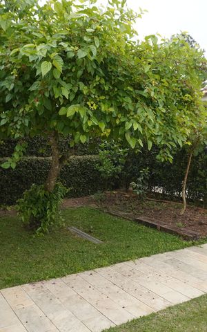Casa de condomínio à venda com 570m², 5 quartos e 4 vagasÁrea externa