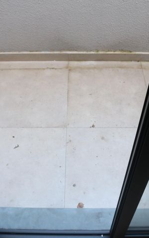 Apartamento para alugar com 33m², 1 quarto e sem vagaVaranda