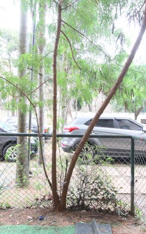 Apartamento à venda com 67m², 3 quartos e 1 vagaVaranda Sala