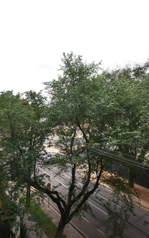Apartamento à venda com 208m², 3 quartos e 2 vagasSacada da Sala
