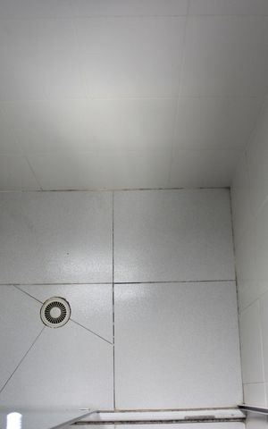 Apartamento à venda com 56m², 2 quartos e 2 vagasBanheiro social 